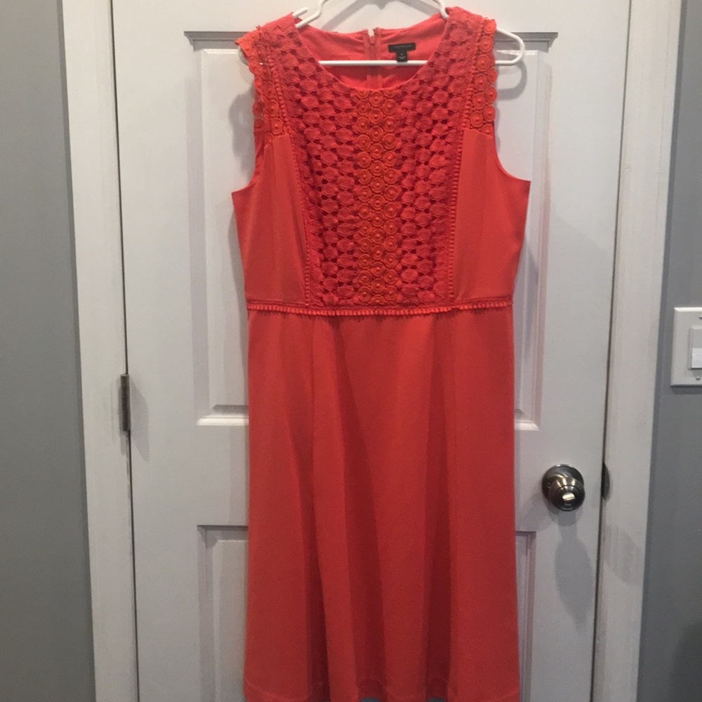 ANN TAYLOR flare dress, size 14